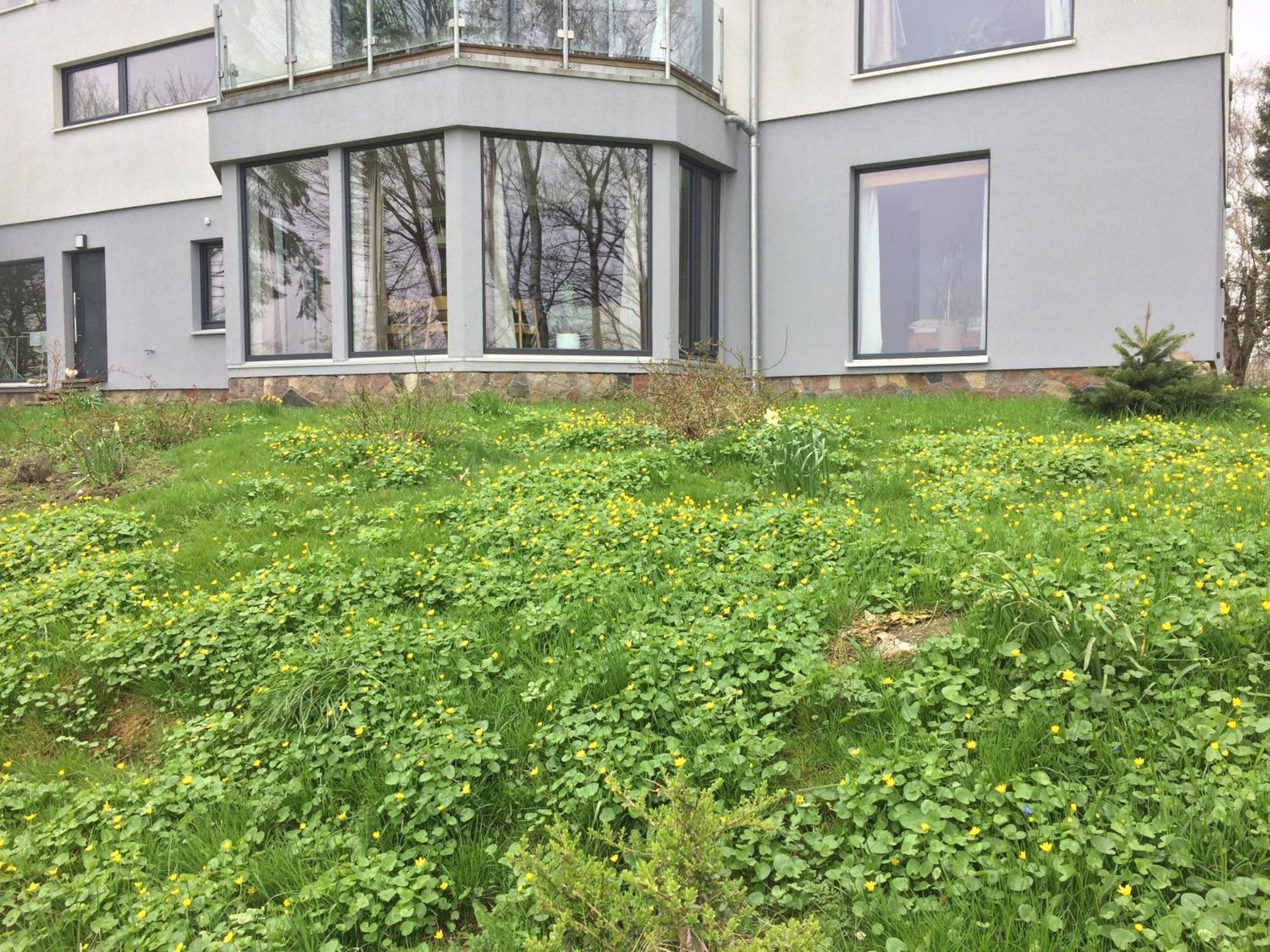 Beltblick Apartment Fehmarn Luaran gambar