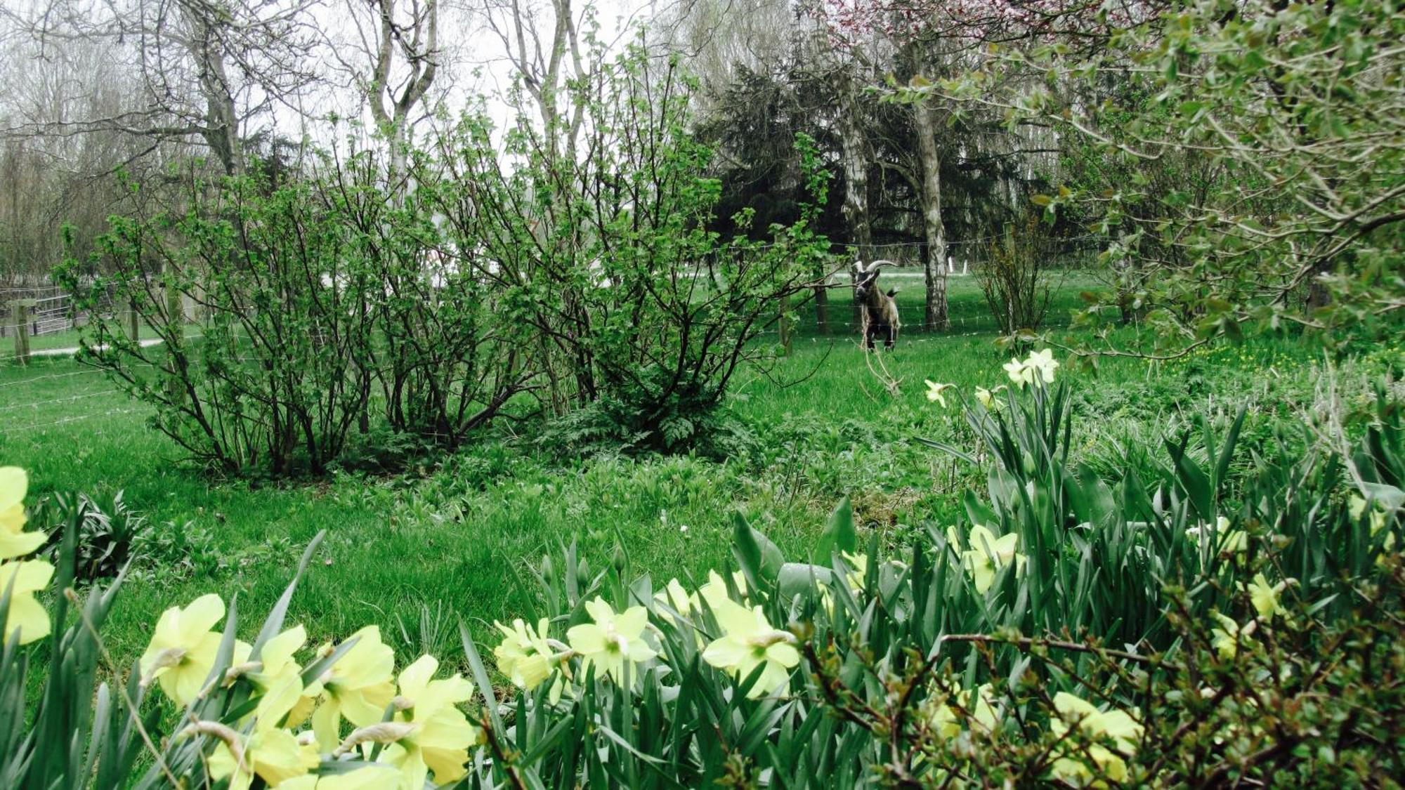 Beltblick Apartment Fehmarn Luaran gambar